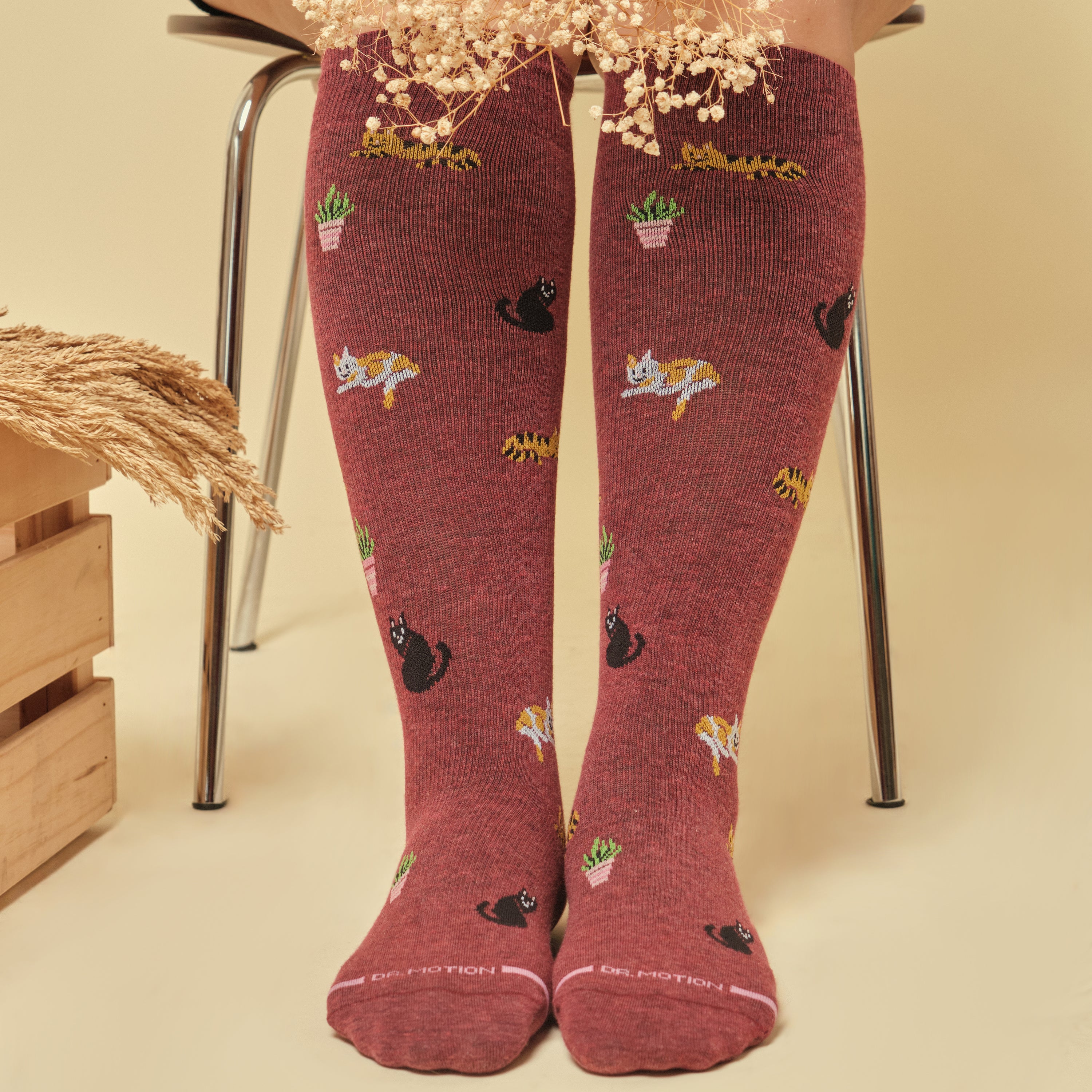Cozy Cats | Knee-High Compression Socks For Women