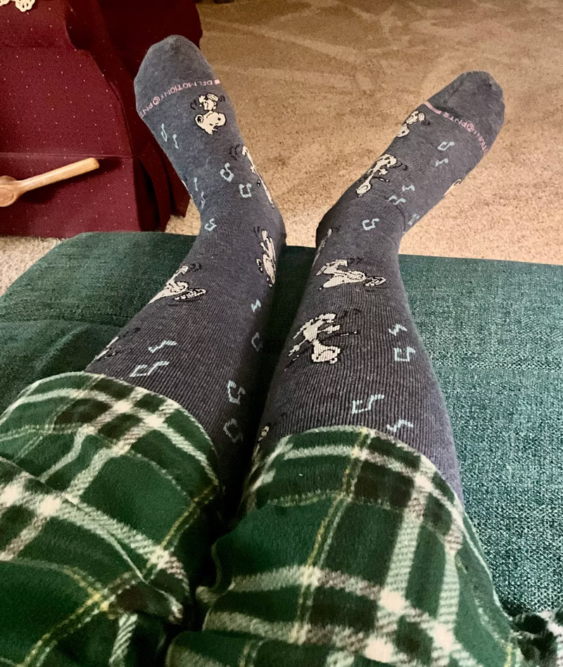 Decorative Stripes crew socks worn