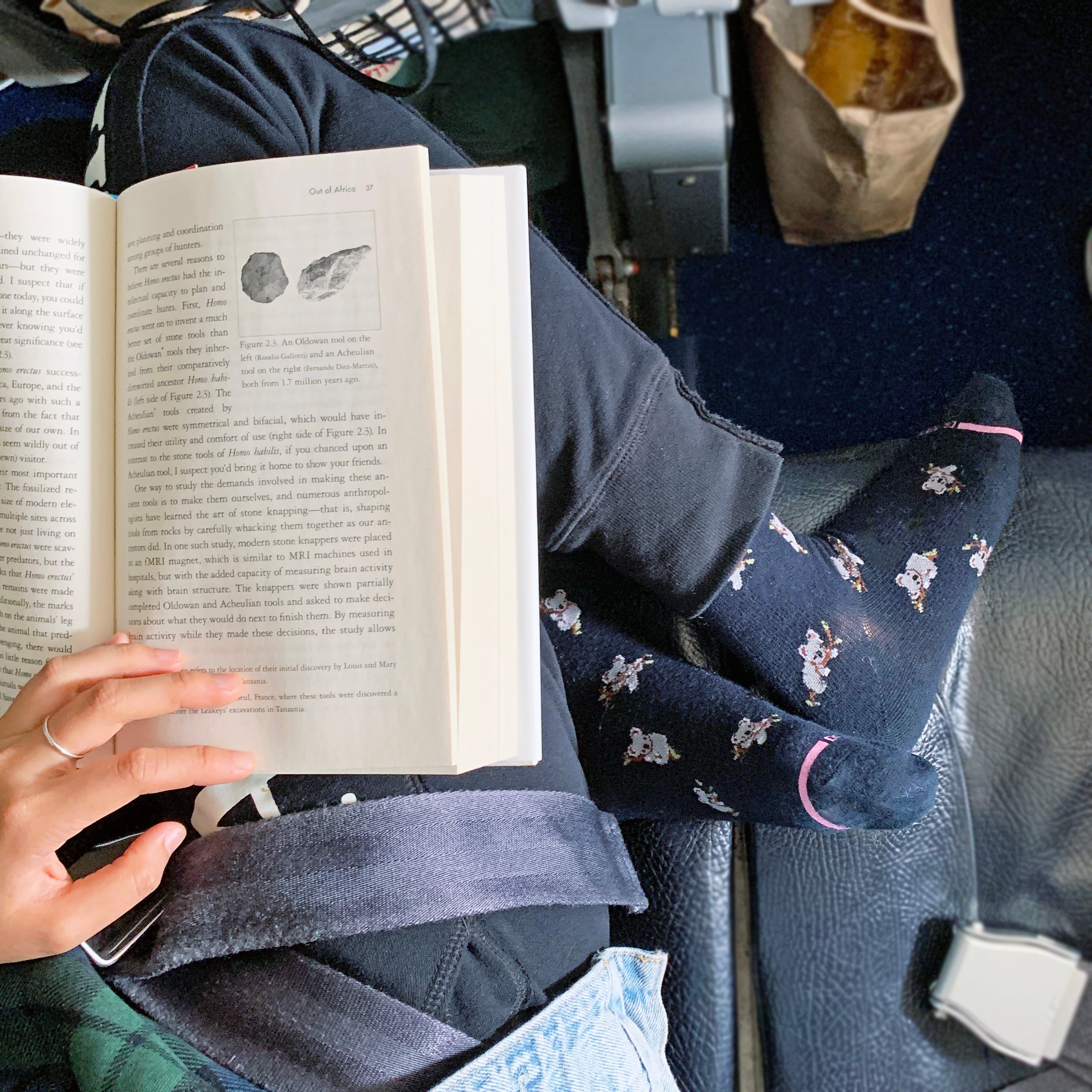 Koala | Knee-High Compression Socks For Women