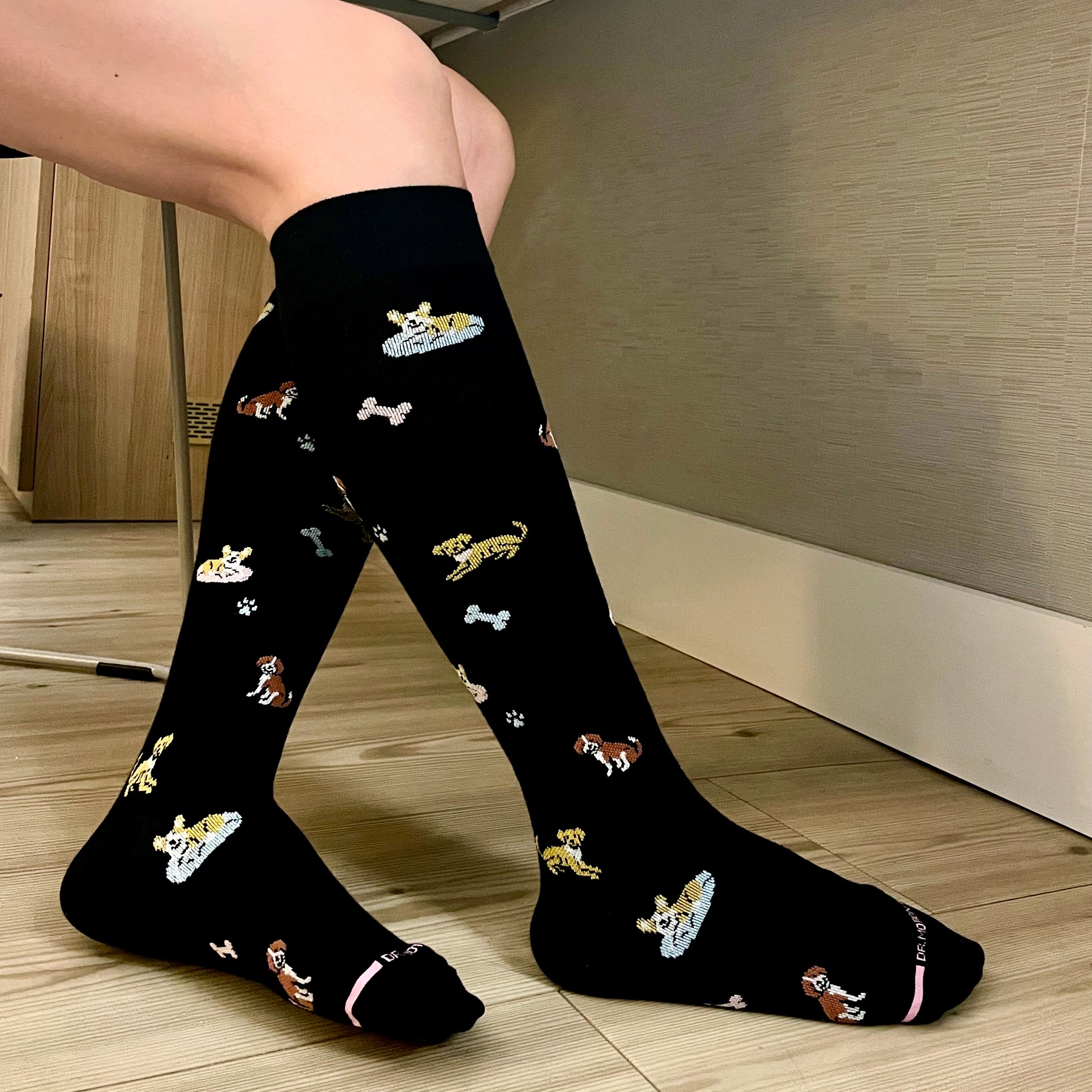 Compression socks 2024 for dogs