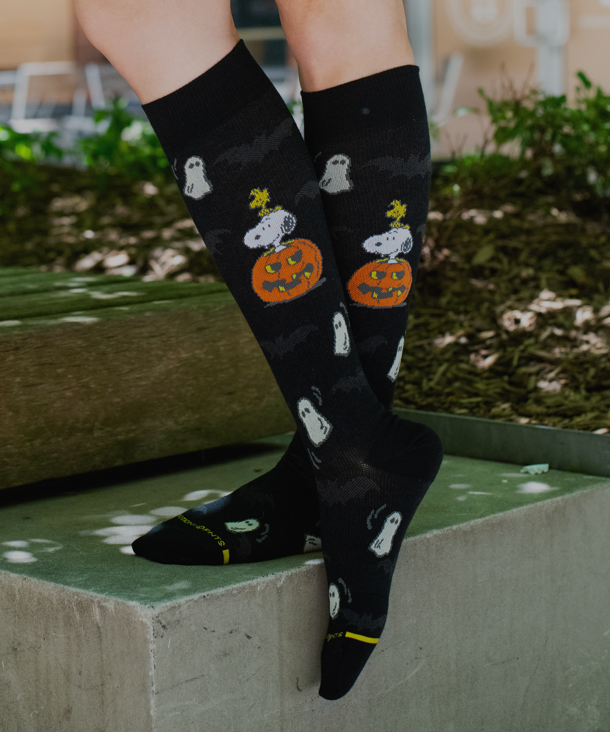 Halloween Collection