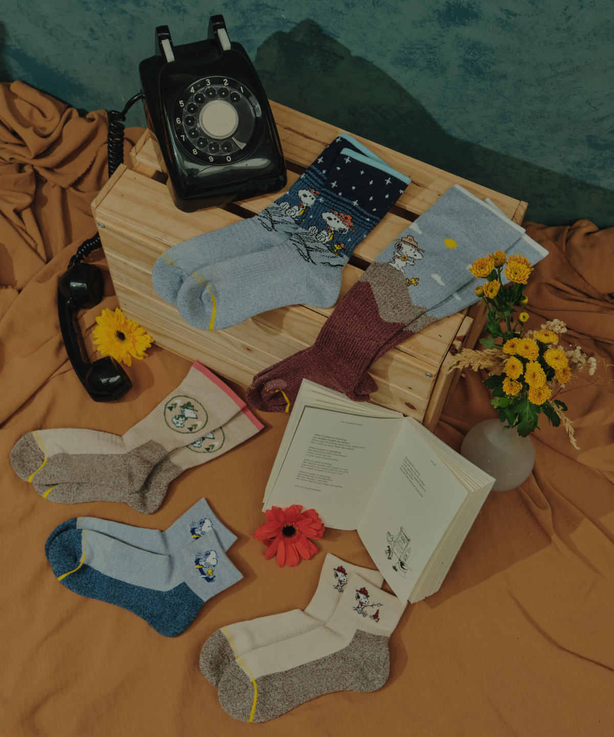Explore The Full Peanuts Collection
